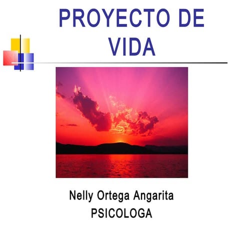 Que es un proyecto de vida