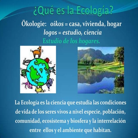Qué Es La EcologíA