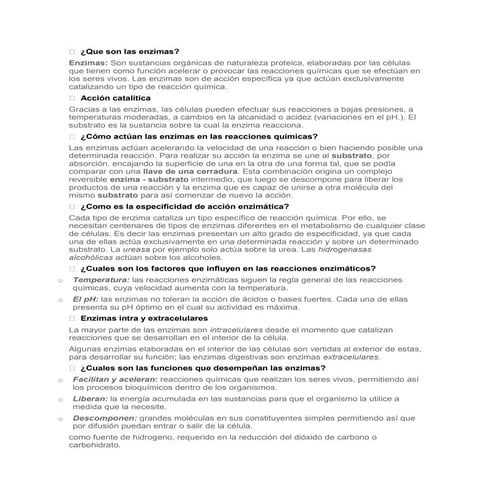 Que son las enzimas