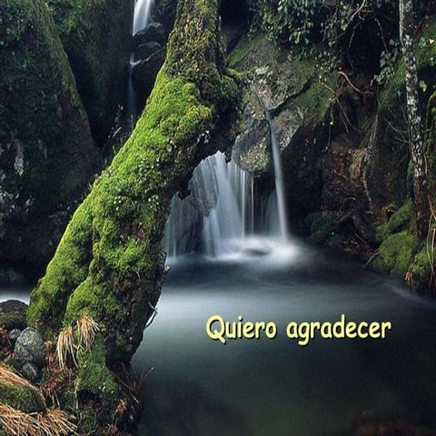 Quiero Agradecer