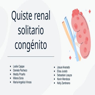 QUISTE RENAL  ARTICULO DE REVISION 2024.