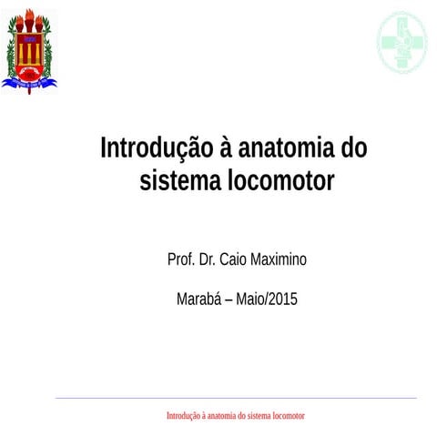 Introdução à anatomia do sistema locomotor