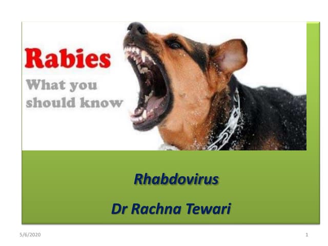 Rabies 2