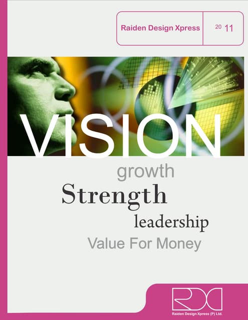 Raiden design xpress P Ltd