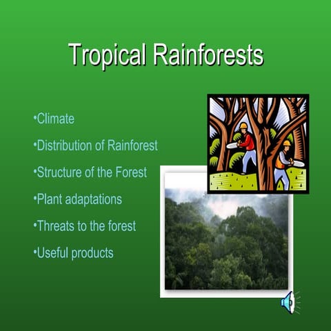Rainforests