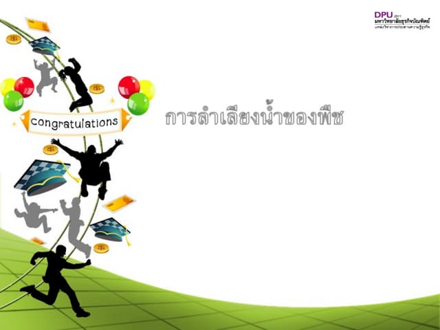 การลำเลียงน้ำของพืช