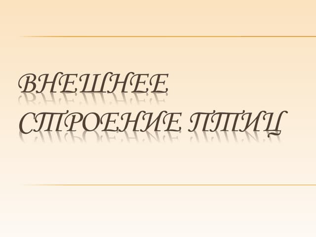 внешнее строение птиц