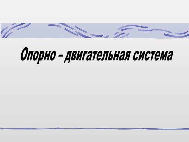 опорно двигательная система 