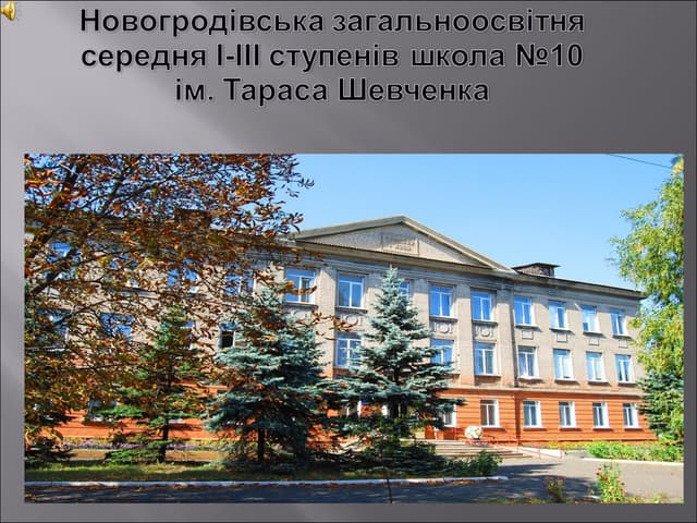 Досвід роботи