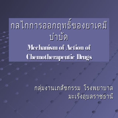 กลไกการออกฤทธิ์ของยาเคมีบำบัด