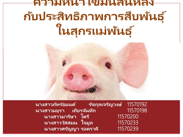 ความหนาไขมันสันหลังกับประสิทธิภาพการสืบพันธ์ุในสุกรแม่พันธ์ุ