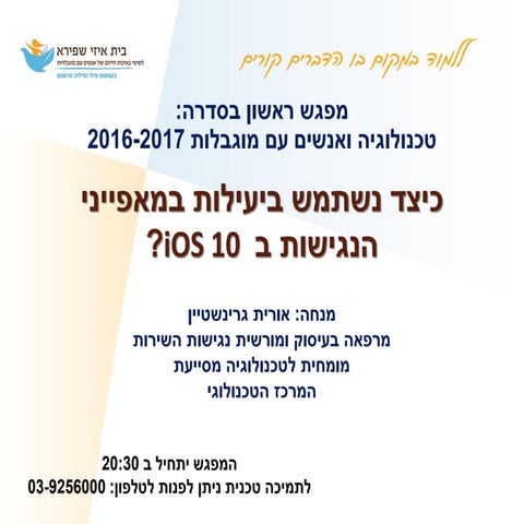 כיצד נשתמש ביעילות במאפייני הנגישות ב ISO 10