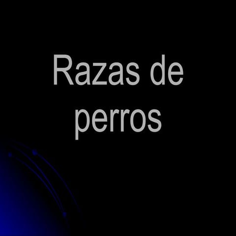 Razas de perros