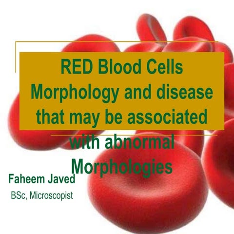 RBC morphology and Disease that may be associated with abnormal morphologies.