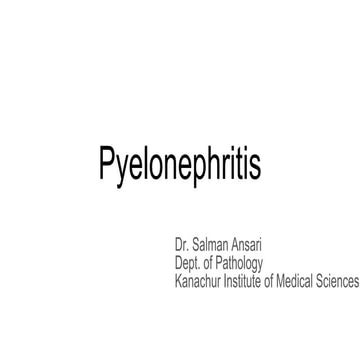 Pyelonephritis, Tuberculous pyelonephritis - Pathology