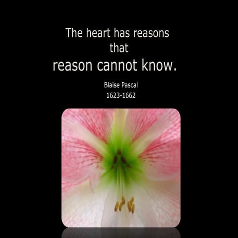 Reason Cannot Know_ spg