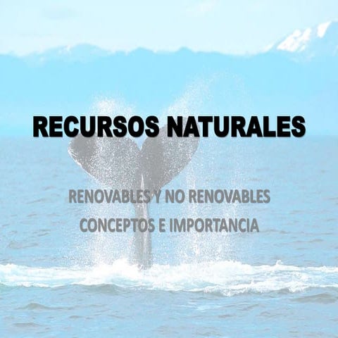 Recursos Naturales