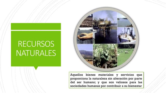RECURSOS NATURALES.pptx Los recursos naturales son elementos de la naturaleza...