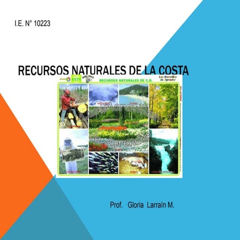 Recursos naturales de la costa