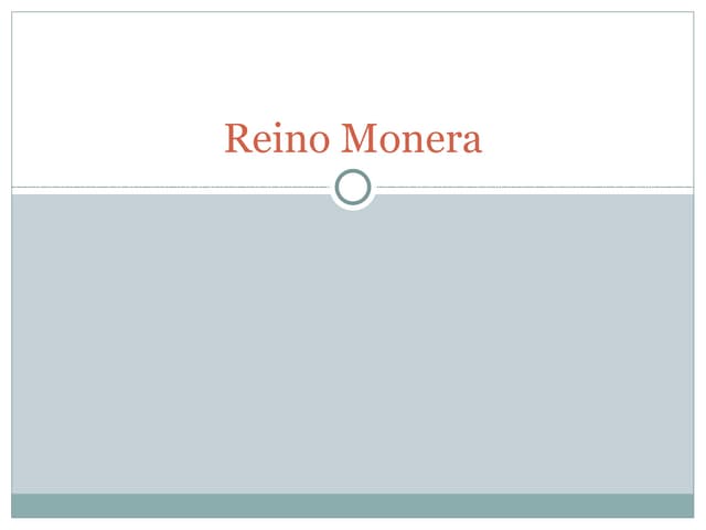 Reino Monera