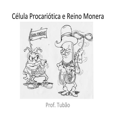 Reino monera curso