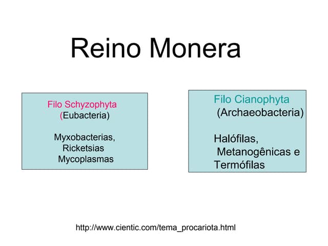 Reino monera