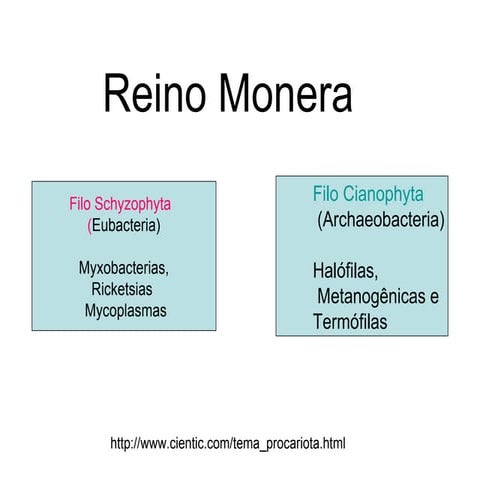 Reino Monera Para Anglo