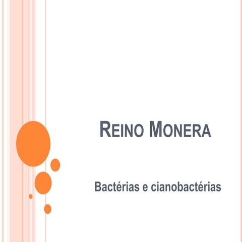 Reino monera, protista e fungi   slides