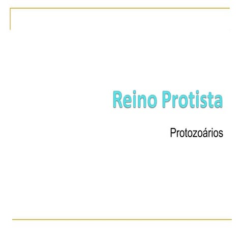 Reino protista protozoarios