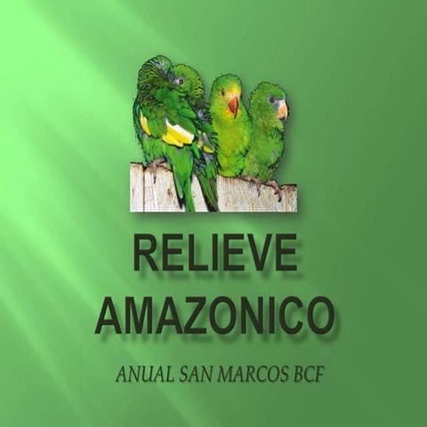Relieve amazonico