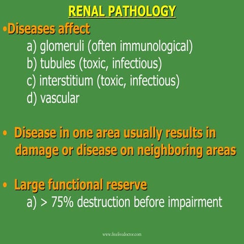 Renal pathology