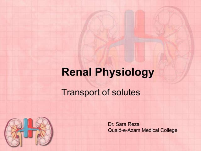Renal physiology