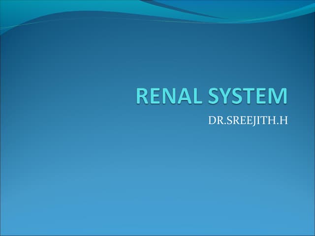 Renal system