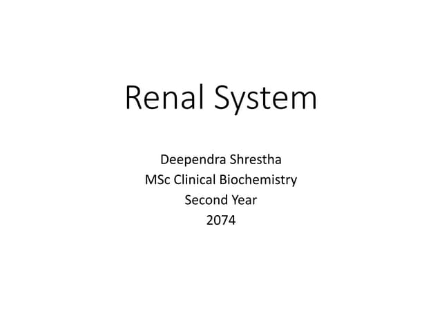 Renal system