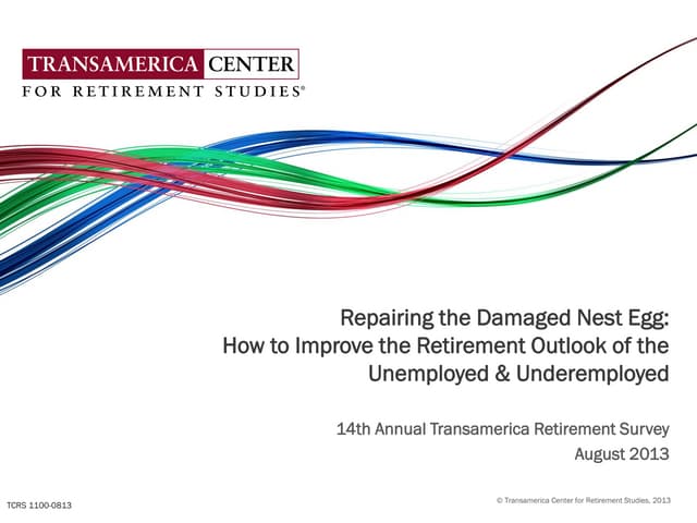 Repairing the damaged nest egg report
