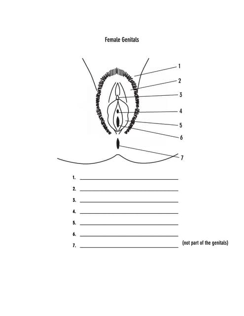 Repro101 Diagram
