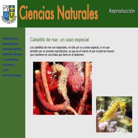 R E P R O D U C C IÓ N (97  2003)