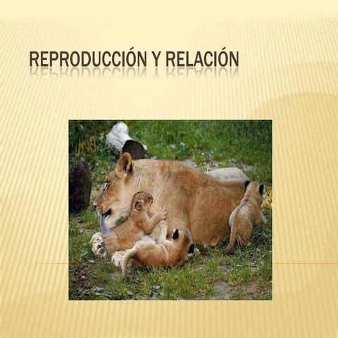 Reproducción y relación