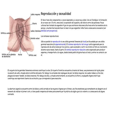 ESQUEMAS DE REPRODUCCION Y SEXUALIDAD