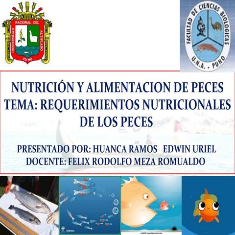 Requerimientos Nutricionales en Peces