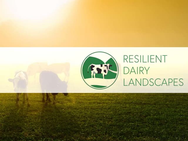 Resilent Dairy Landscapes project update (May 2020)
