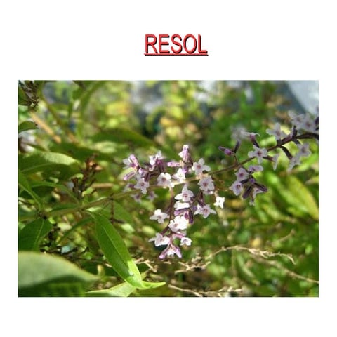 Resol