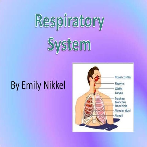 Respiratory system