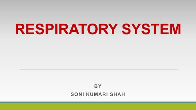 Respiratory system