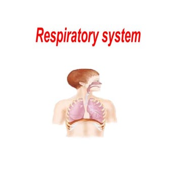 Respiratory system final [Autosaved] [Autosaved].pptx