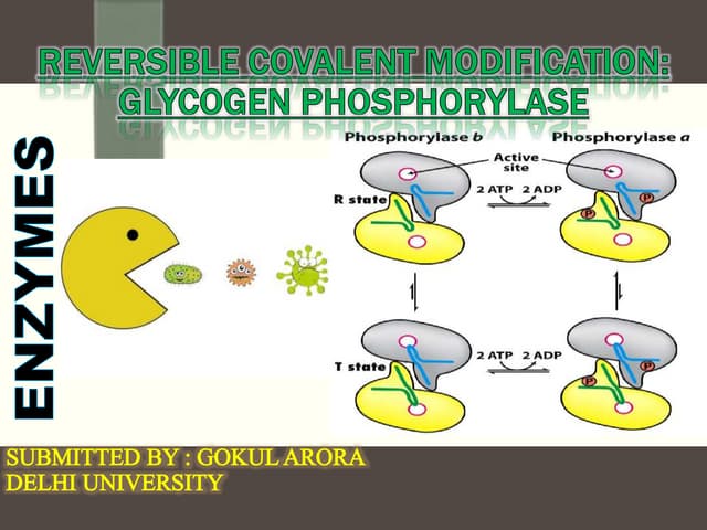 Reversible covalent modification