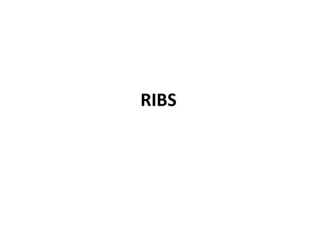 RIBS.pptx