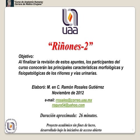 Riñones segunda parte