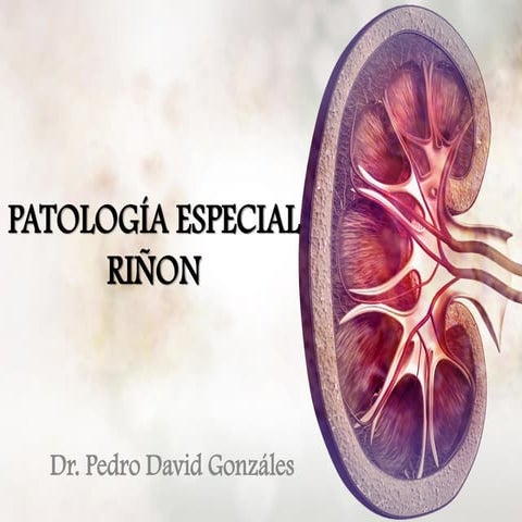 Riñon Patología Especial Dr. Pedro David Gonzáles (pato 3).pdf