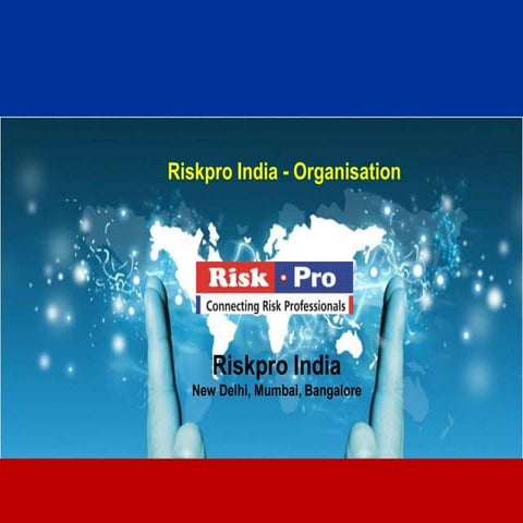Riskpro organisation